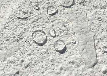 Borracha líquida onde comprar Borracha líquida onde comprar